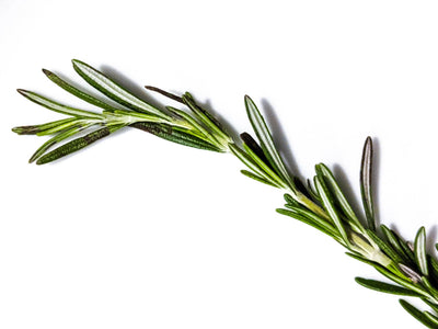 Rosemary Water in Your Hair? TikTok Fact or Fiction?