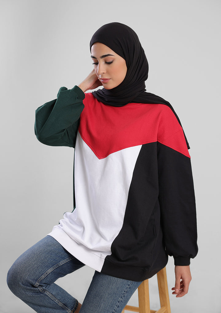 Oversized Palestine Flag Sweater- French Terry Cotton
