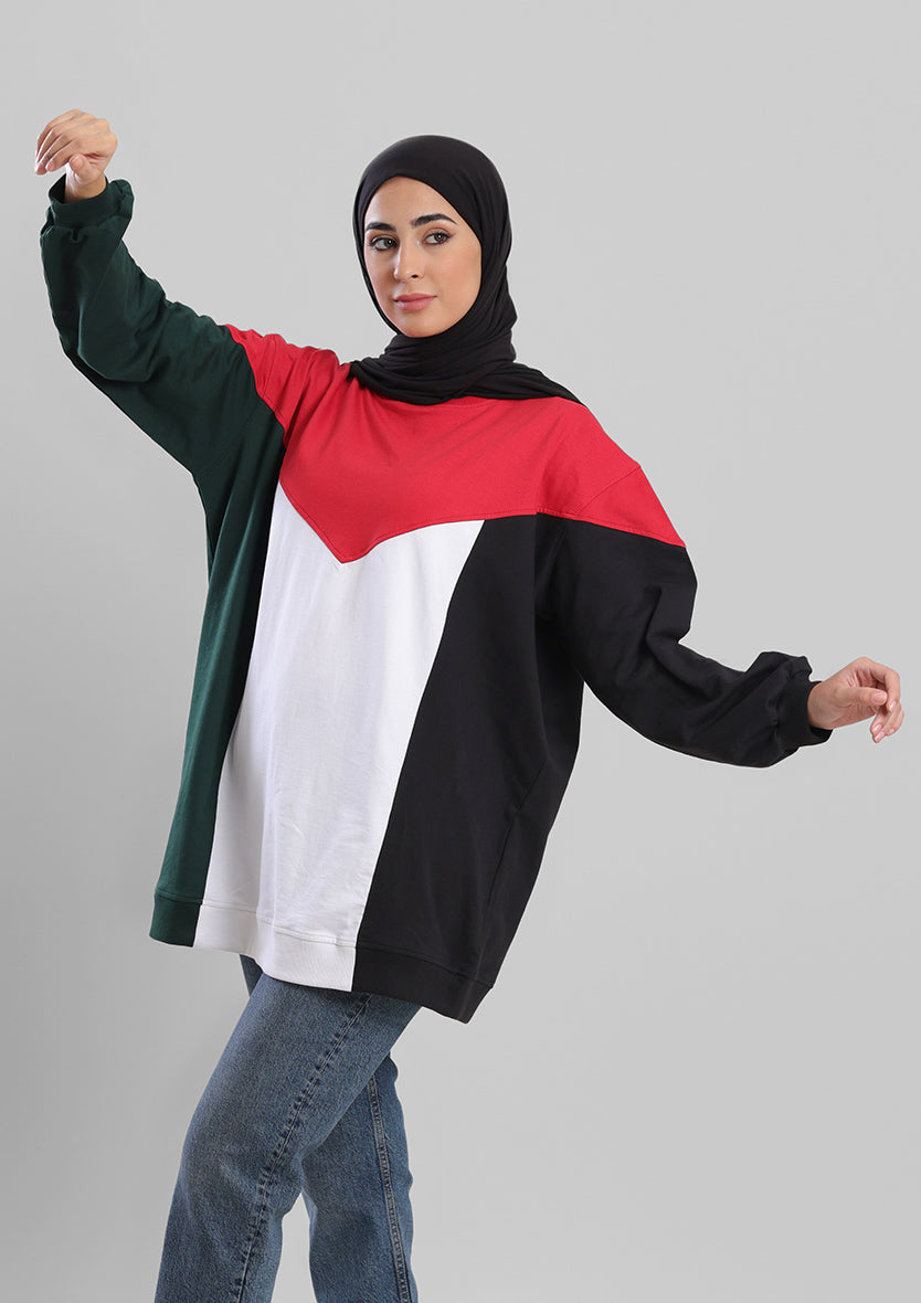 Oversized Palestine Flag Sweater- French Terry Cotton