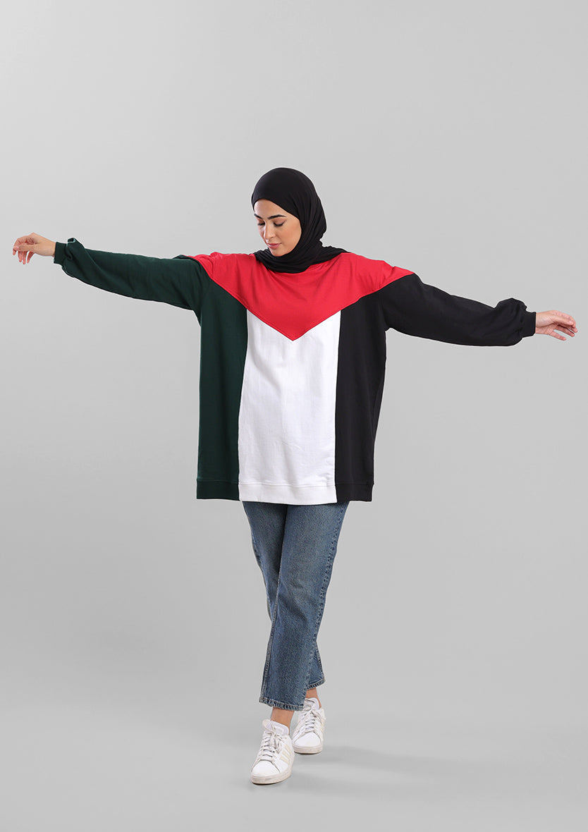 Oversized Palestine Flag Sweater- French Terry Cotton