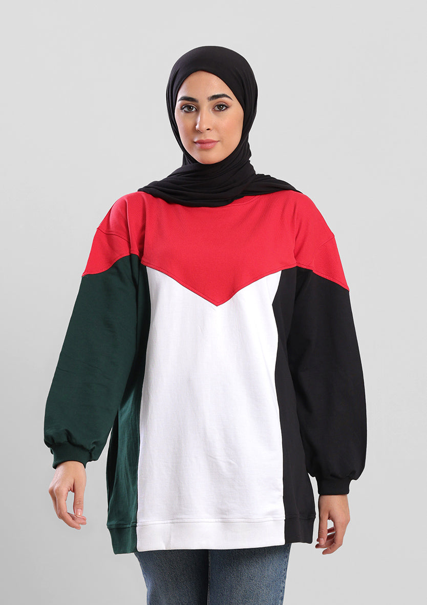 Oversized Palestine Flag Sweater - Cotton Fleece